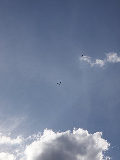 3月9日の写真
