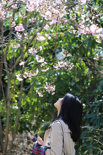 陰翳礼賛　～美しい日本のひと・黒髪美人～