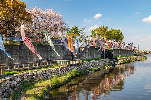 【花のある風景】春の佐屋川②