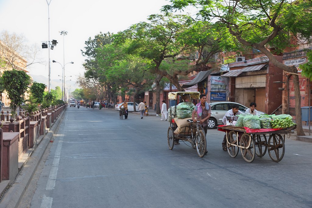 インド19