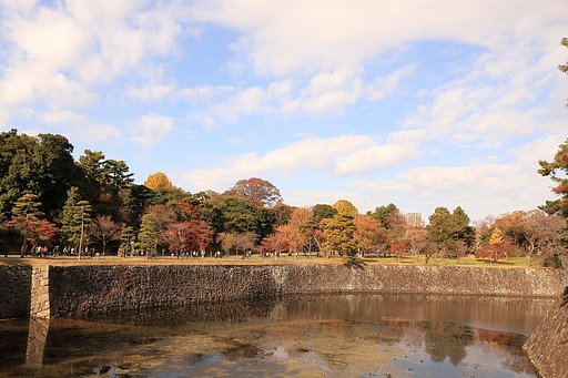 紅葉