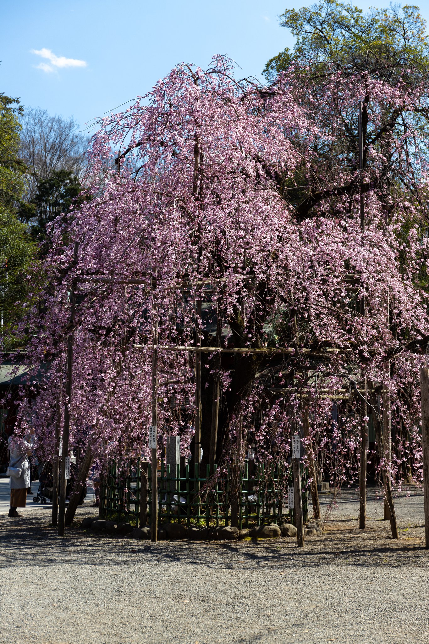 EF24-70mm f/4L IS USM