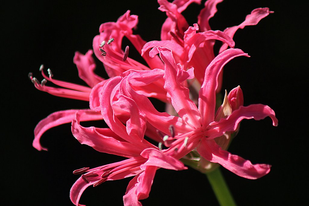 Tamron 100-300mmF5-6.3