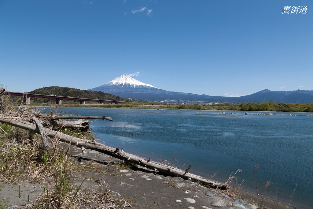 富士川西岸にて