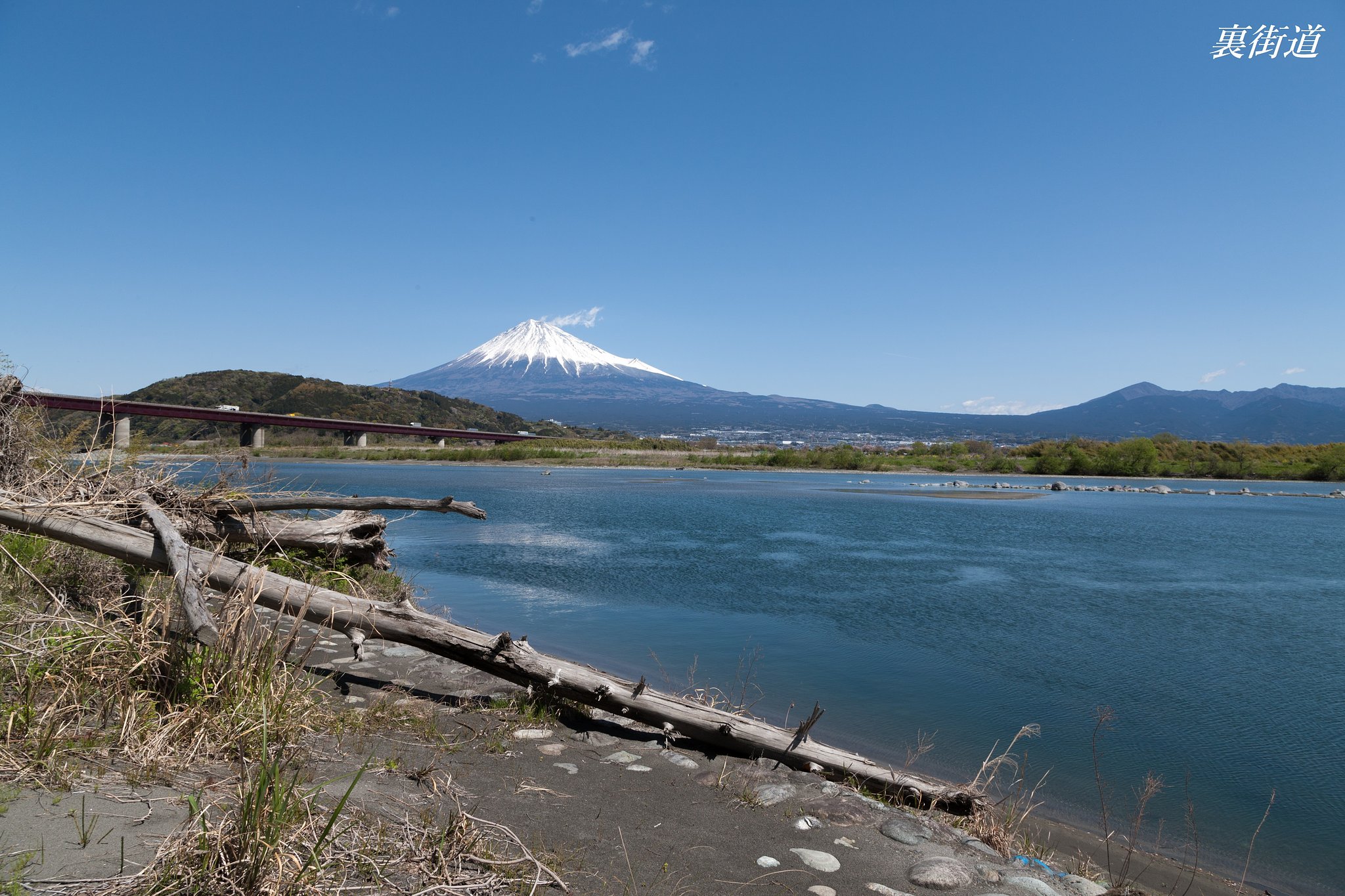 富士川西岸にて