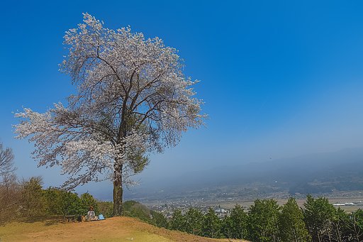 ４月ならびに５月のお題は・・