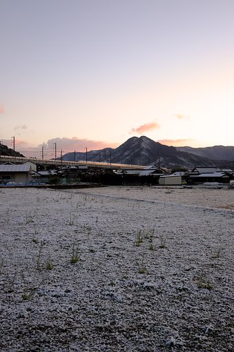 雪の朝