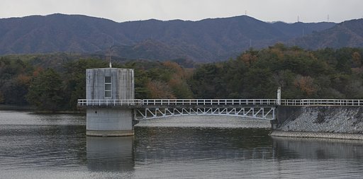 12月8日の写真