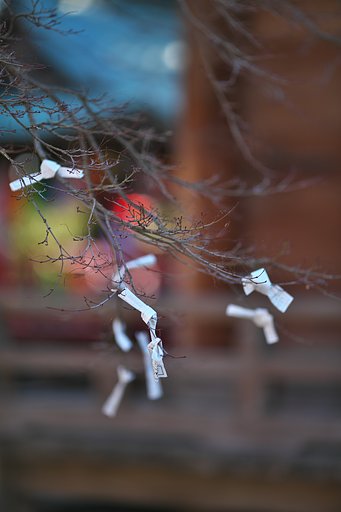 EF135mm F2L