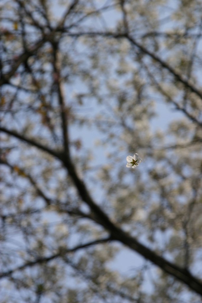 UFO　その2