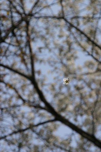 UFO　その2