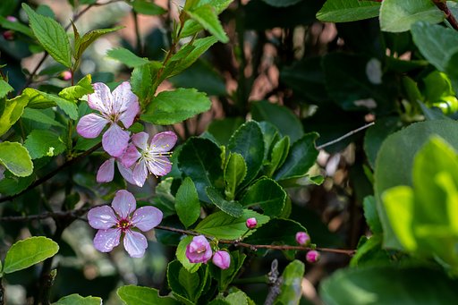 FUJINON XF35mmF1.4 R
