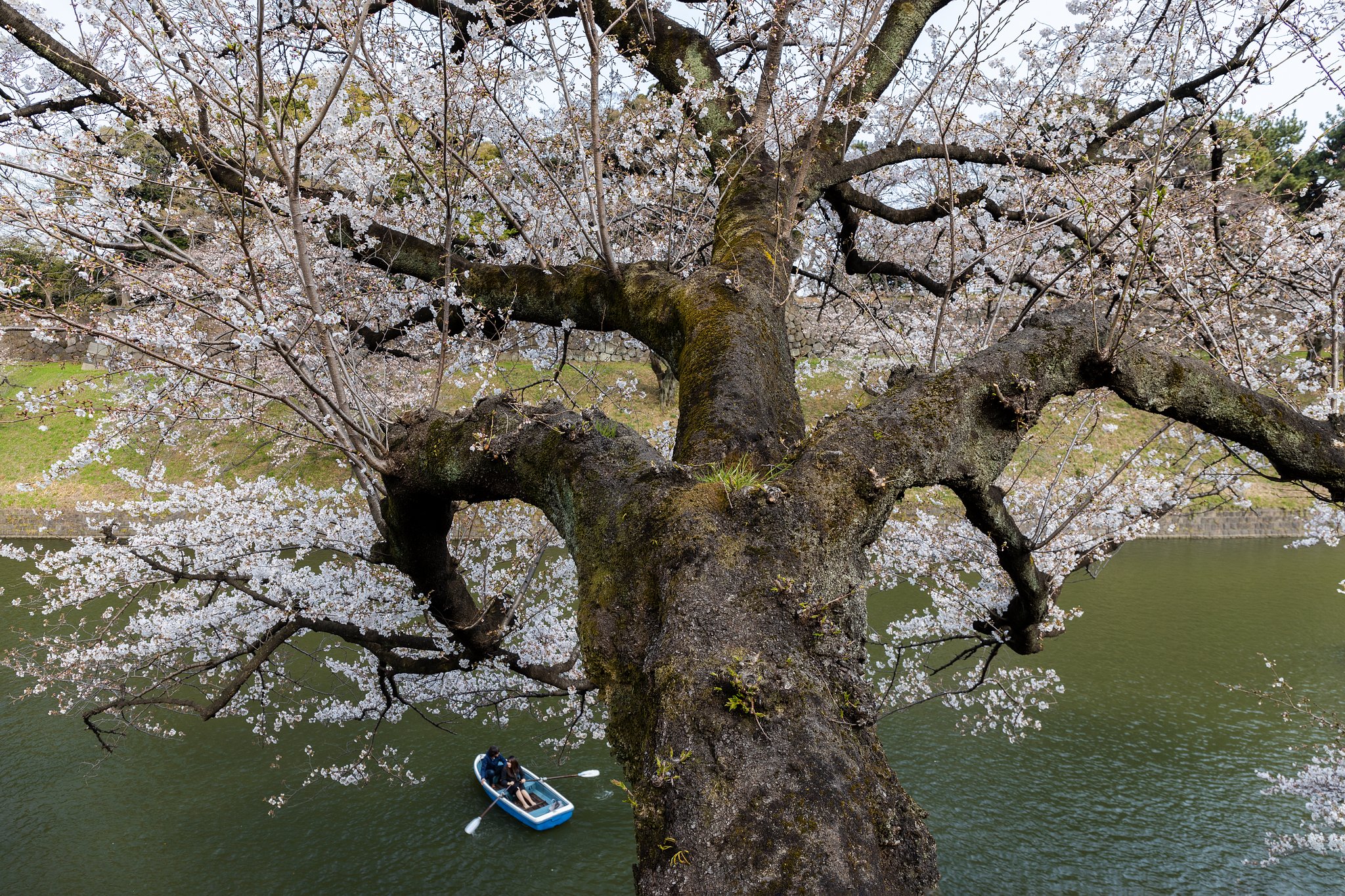 EF24-70mm f/4L IS USM