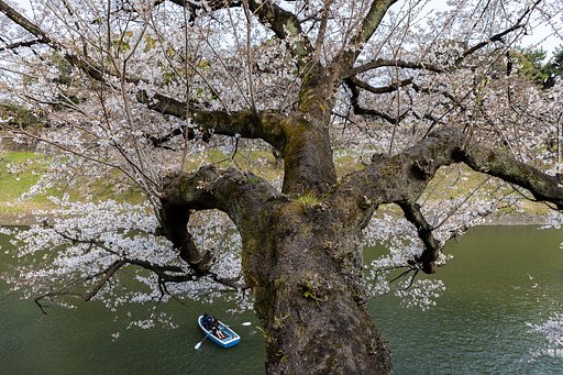 EF24-70mm f/4L IS USM