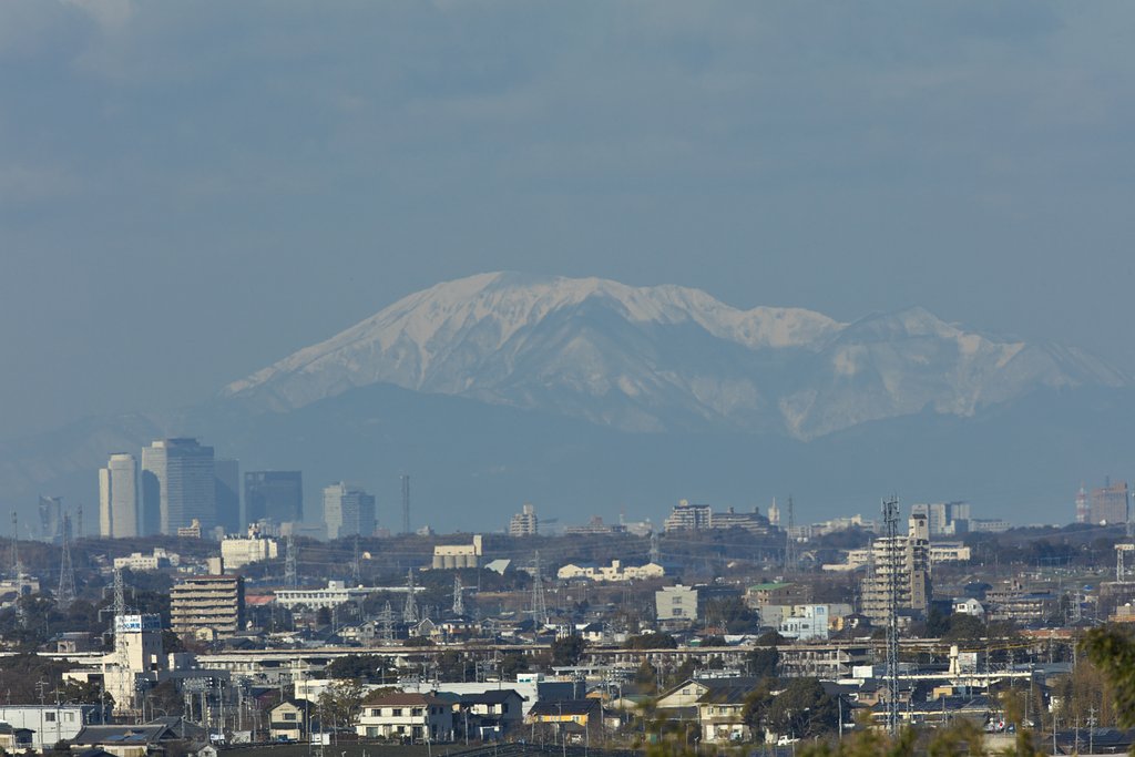 EF500mm F4L IS＋EF1.4xⅢ