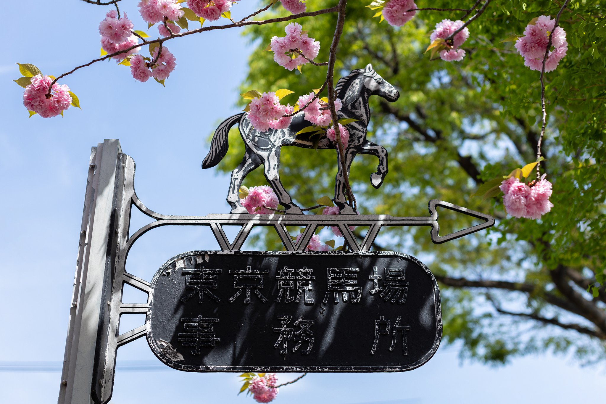 EF50mm f/1.2L USM