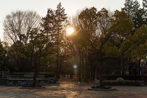 NIKKOR 60.0 mm f/2.8