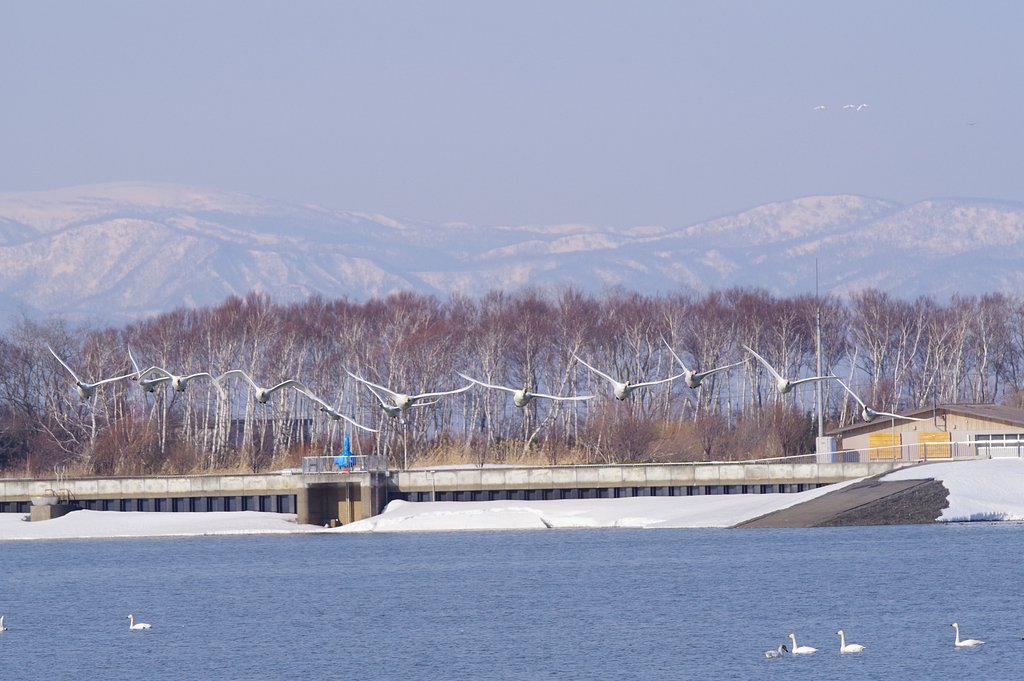 春山を後にする