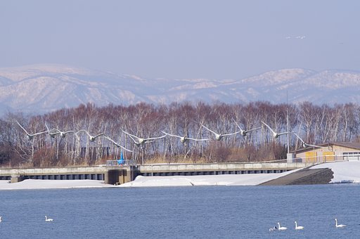 春山を後にする