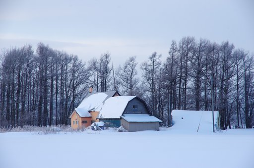 雪景色