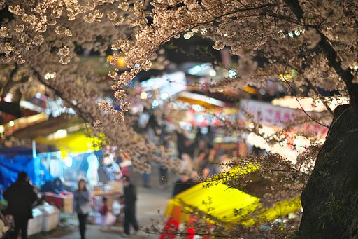 EF85mm F1.2LⅡ