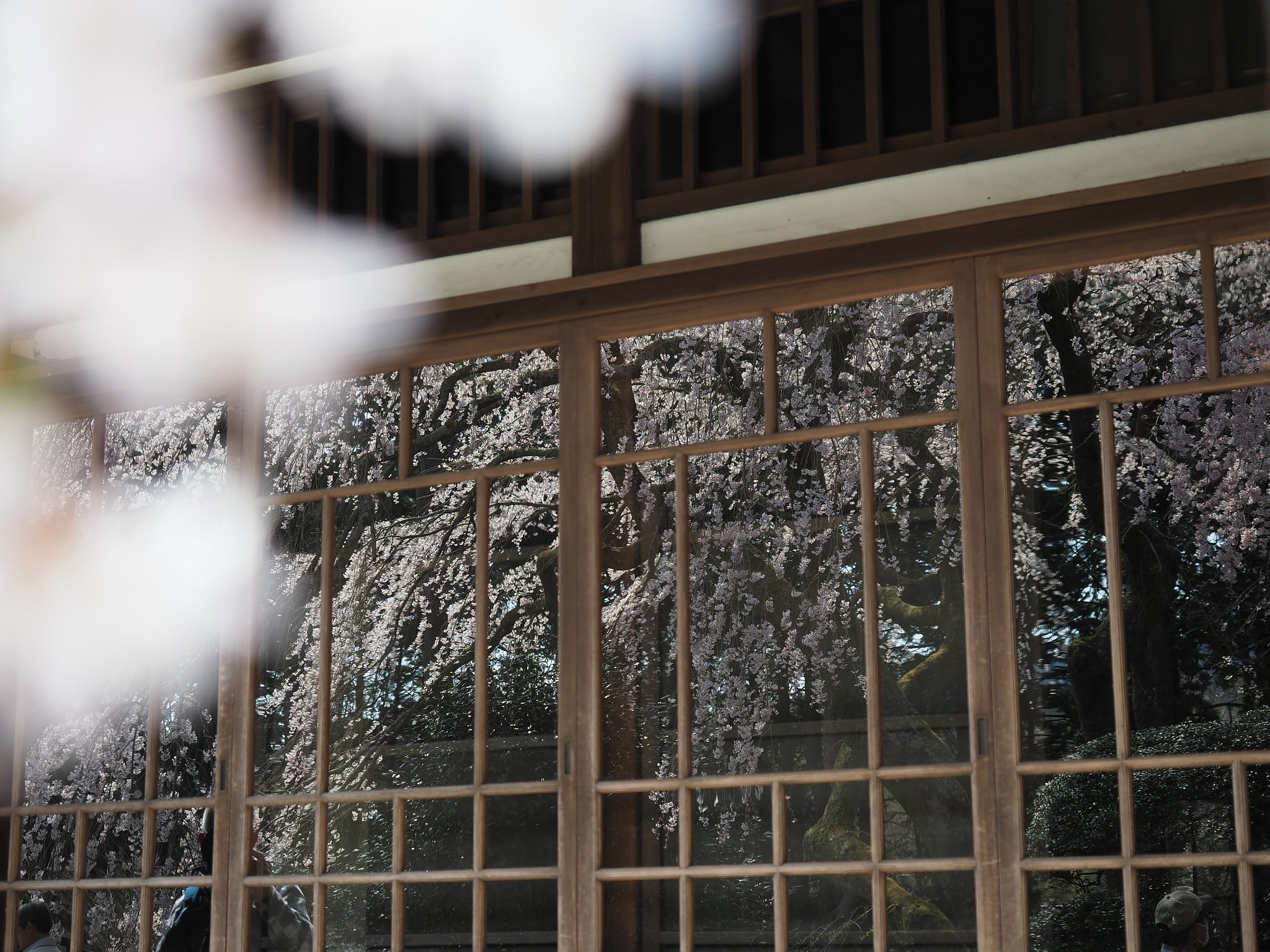 ◎M.ZUIKO DIGITAL ED 12-40mm/F2.8 PRO