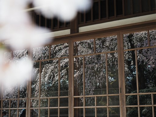 ◎M.ZUIKO DIGITAL ED 12-40mm/F2.8 PRO