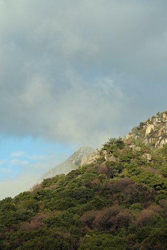 山