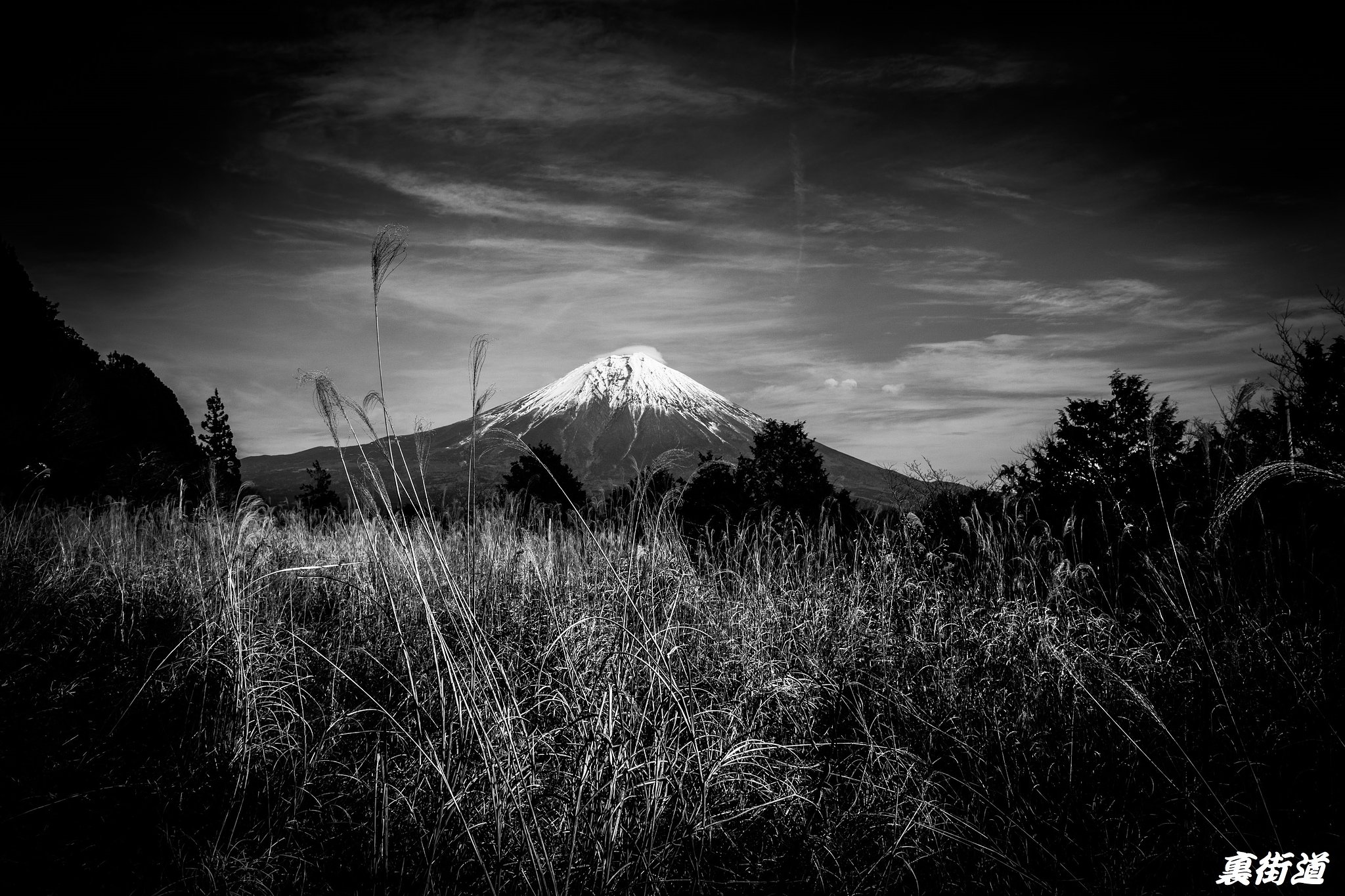 【白黒写真】月光の原野