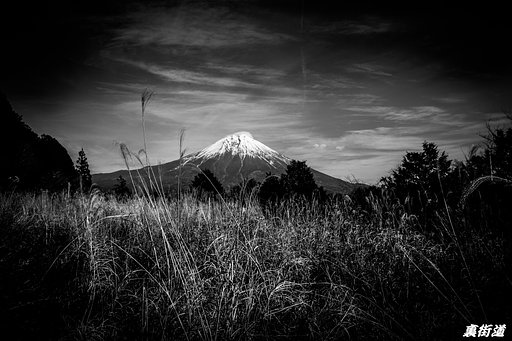 【白黒写真】月光の原野
