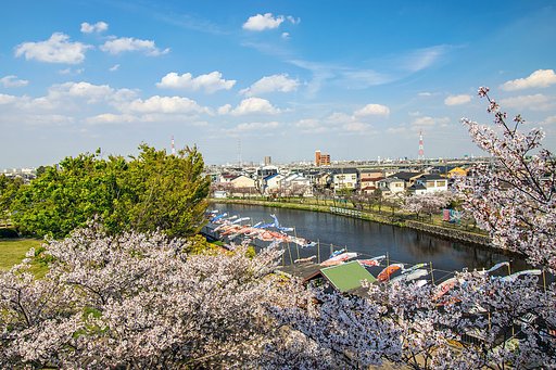 佐屋川こいのぼり