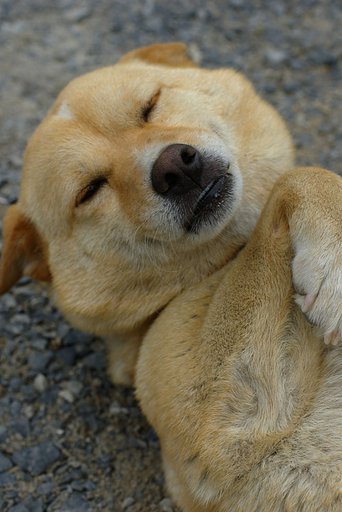 眠い・・・！
