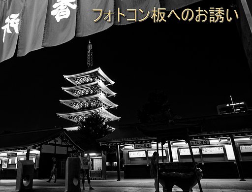 二月のフォトコン板へのお誘い