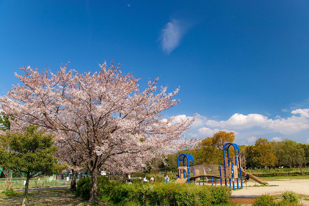 ４月から５月にかけて予定していた、