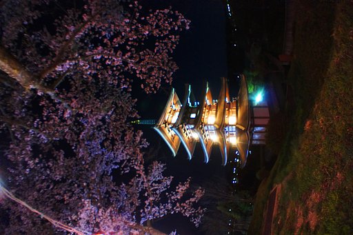 桜と塔