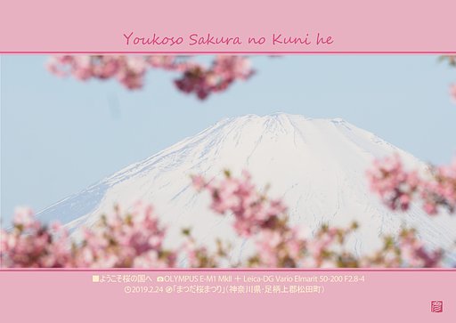 ようこそ桜の国へ
