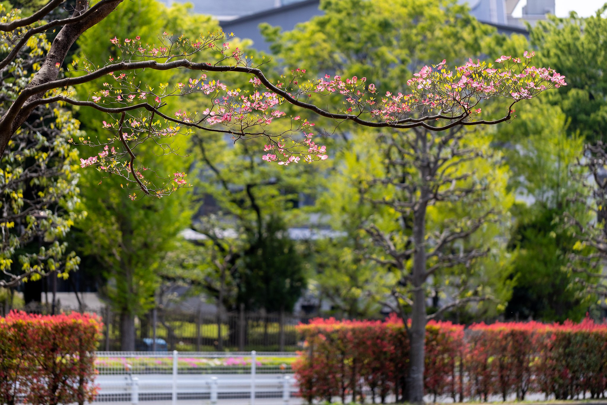 EF100mm f/2.8L Macro IS USM