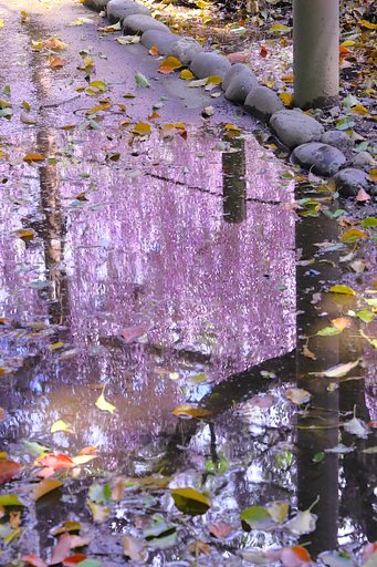 曼陀羅寺公園  Ⅱ