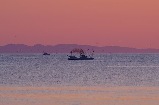 夜明けの操業