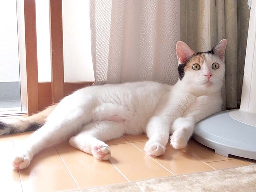 お気に入りの場所