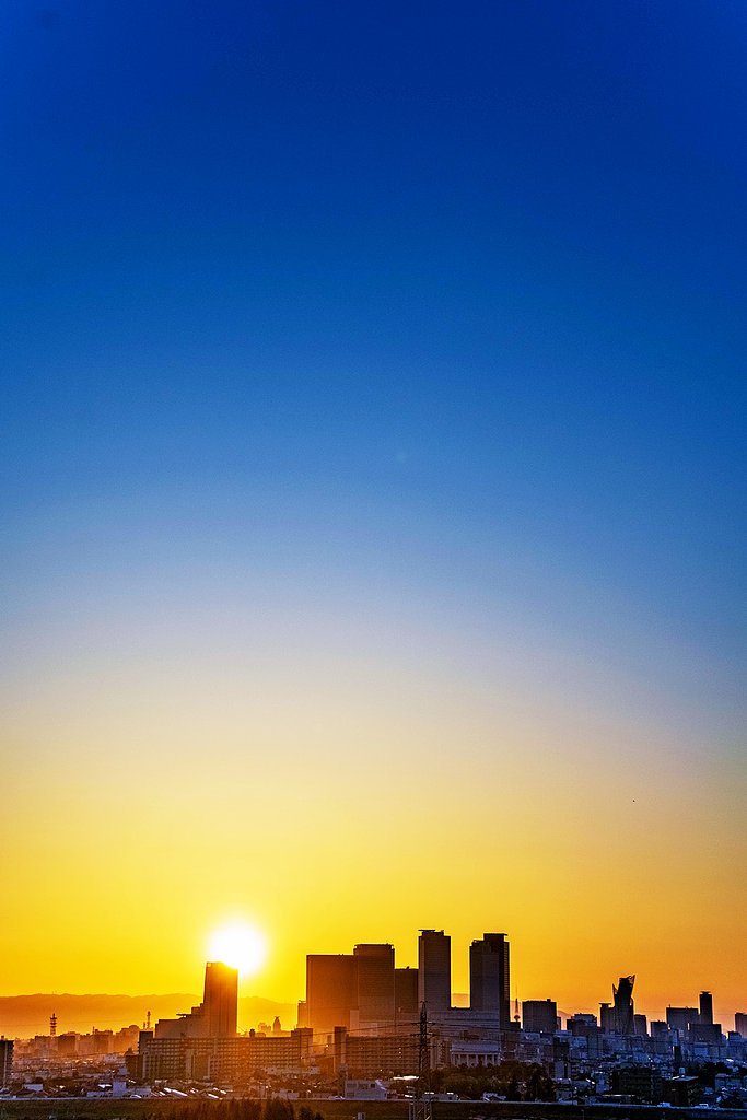 【花･空のある写真】ビルトーチ