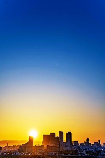 【花･空のある写真】ビルトーチ
