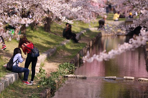 ただものでない方・・がカメラを向けていた光景