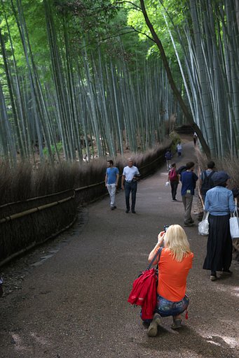 9月23日の写真