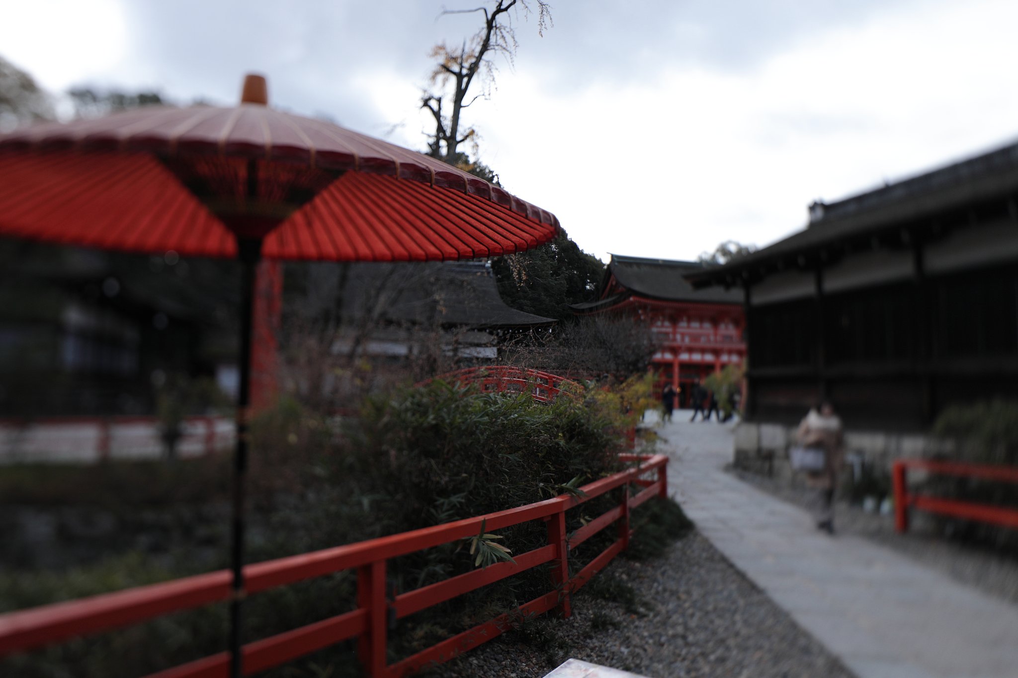 下鴨神社