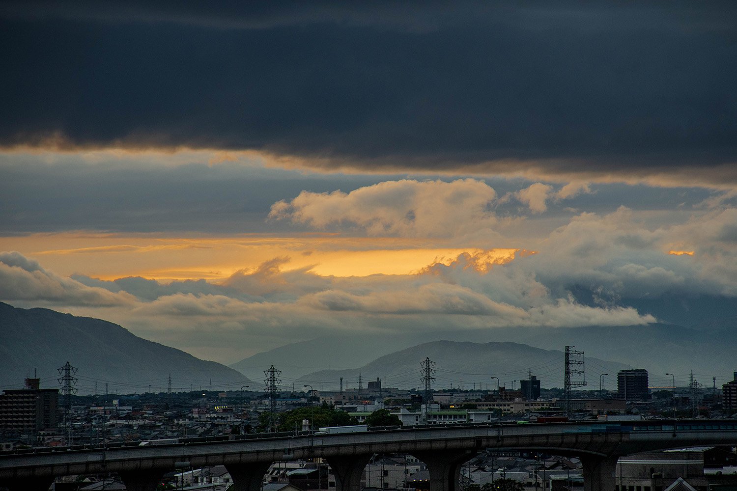 【花・空のある写真】裂け目