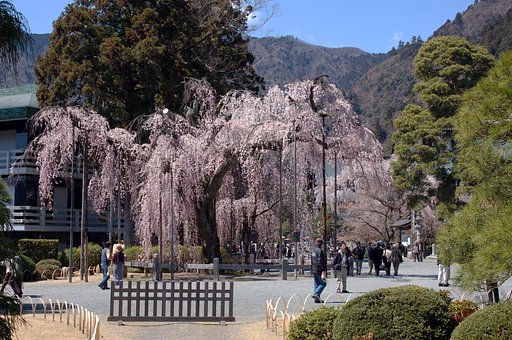 身延山・久遠寺 