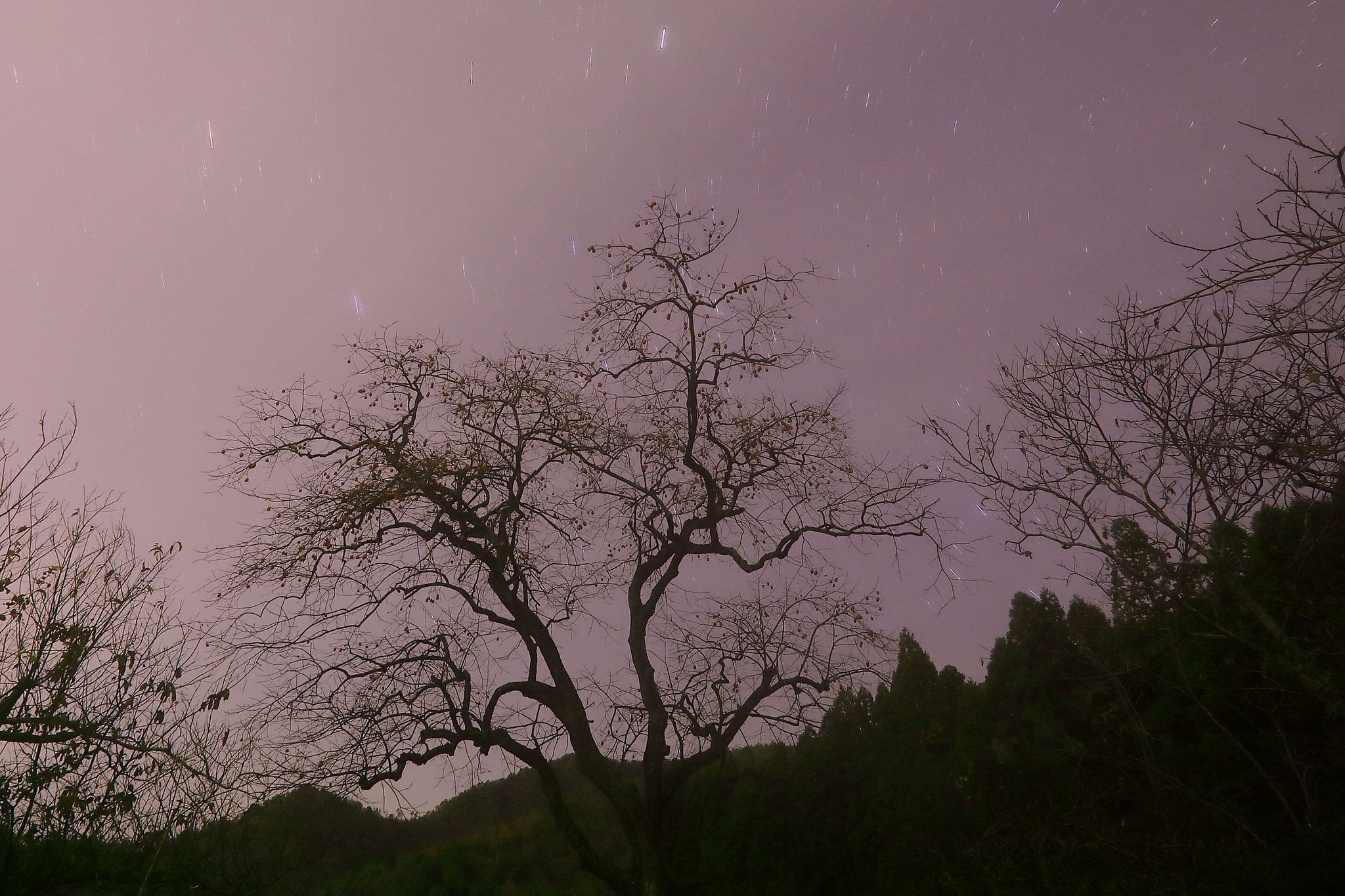 星撮は運がなかった・・・