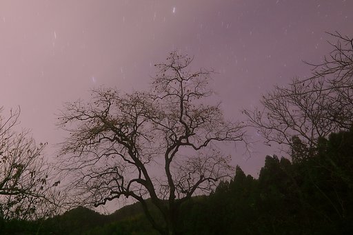 星撮は運がなかった・・・