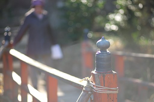小春日和の中を